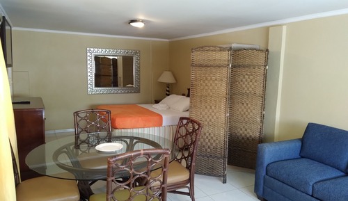 Junior Studio Suite, 1 Queen Bed with Sofa bed