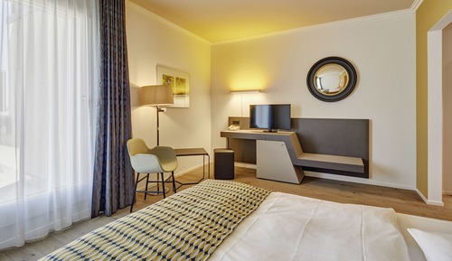 Superior Single Room