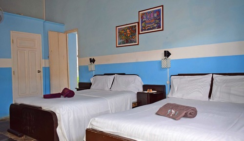 Basic Double or Twin Room