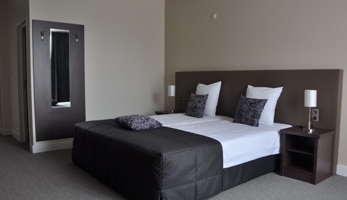 Comfort Double Room, 2 Twin Beds, Non Smoking, Garden View