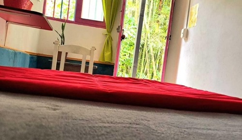Basic Single Room, 1 Twin Bed, Garden View