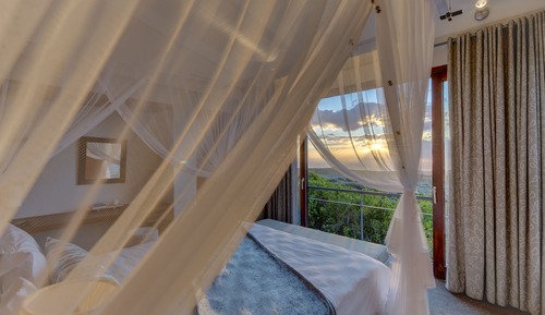 Luxury Suite, 1 bedroom, Forest Lodge