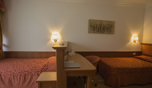 Business Twin Room