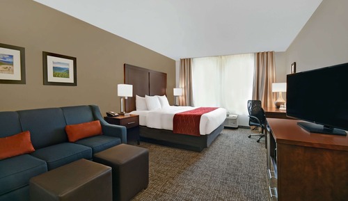 Standard Room, 1 King Bed, Non Smoking
