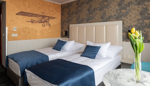 Superior Double or Twin Room