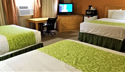 Family Room, Multiple Beds