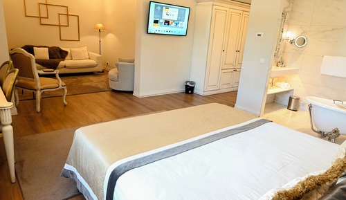 Executive Suite, 1 Bedroom