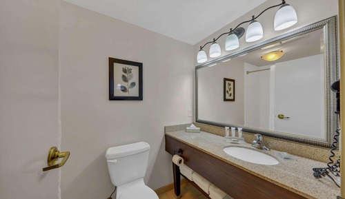Studio Suite, 1 King Bed with Sofa bed, Non Smoking