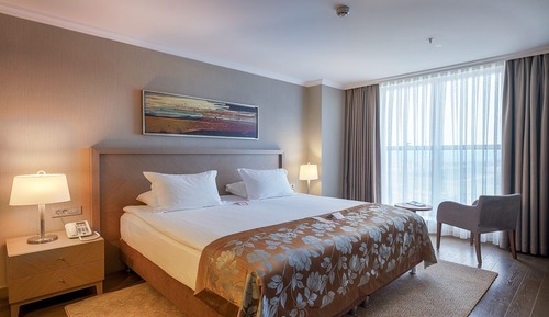 Room, 1 Double Bed, Non Smoking