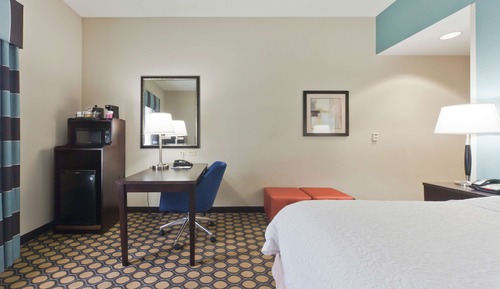 Room, 1 King Bed