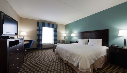 Room, 1 King Bed, Accessible (Mobility & Hearing, Roll-in Shower)