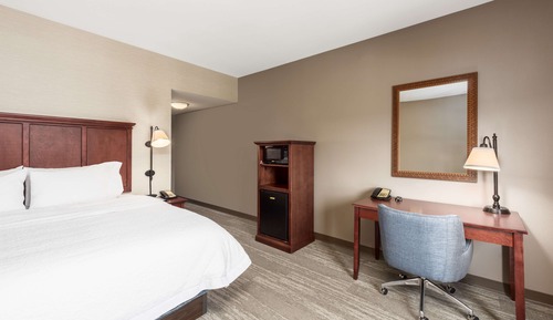 Room, 1 King Bed, Accessible