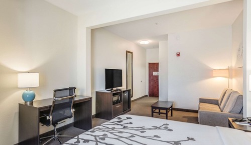 Suite, 1 King Bed, Non Smoking