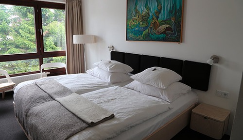 Comfort Single Room