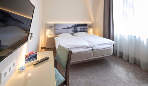 Single Room Large