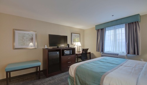 Standard Room, 1 King Bed, Accessible, Non Smoking