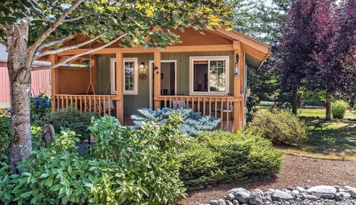 Knotty Pine