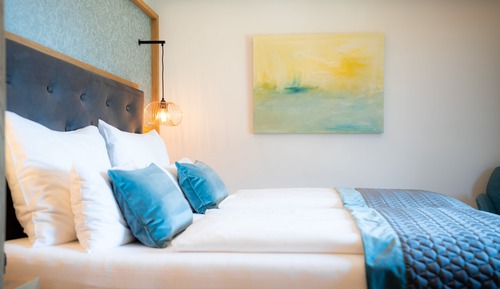 Basic Double Room