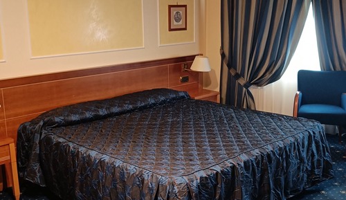 Business Double Room Single Use