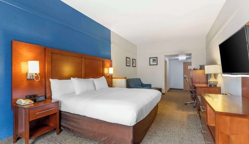 Business Suite, 1 King Bed with Sofa bed and Roll-In Shower, Accessible, Non Smoking