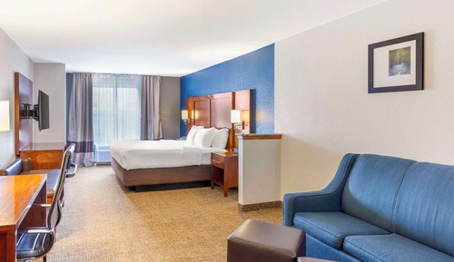 Business Suite, 1 King Bed with Sofa bed, Accessible, Non Smoking