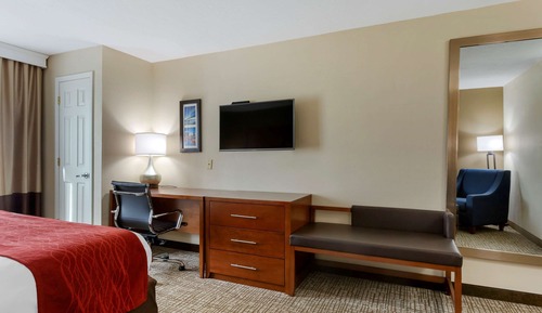 Room, 1 King Bed, Accessible, Non Smoking