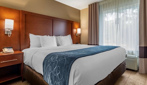Suite, 1 King Bed, Non Smoking