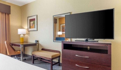 Suite, 1 King Bed with Sofa bed, Accessible, Non Smoking