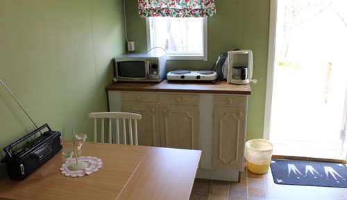 Cabin (2)