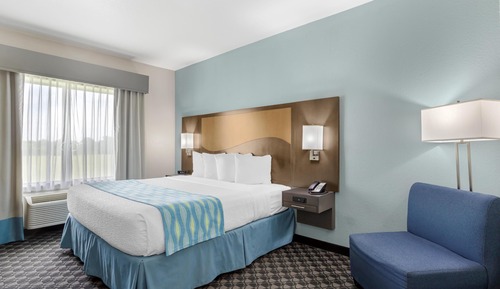 Standard Room, 1 King Bed, Accessible, Non Smoking (Accessible)