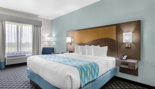 Standard Room, 1 King Bed, Non Smoking, Microwave