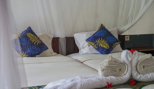 Deluxe Twin Room, 2 Twin Beds, Garden Area