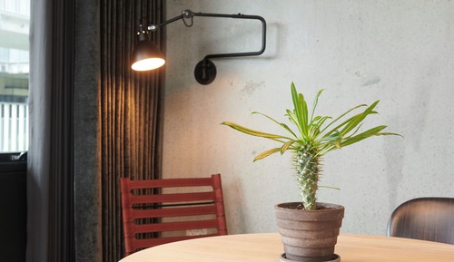 Family Apartment