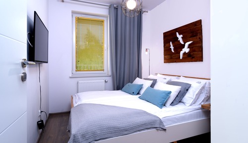 Deluxe Apartment (3)