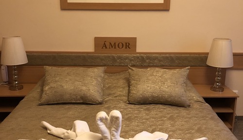 Premium Double Room, 1 Queen Bed, Non Smoking