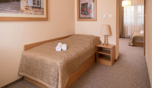 Premium Single Room, 1 Queen Bed, Non Smoking