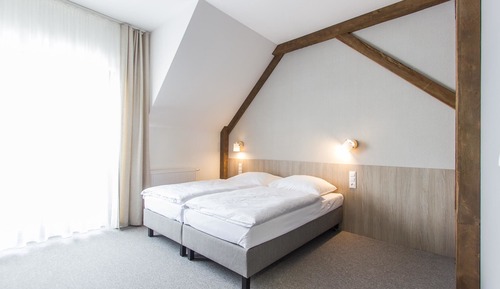 Standard Double or Twin Room, 1 Queen Bed