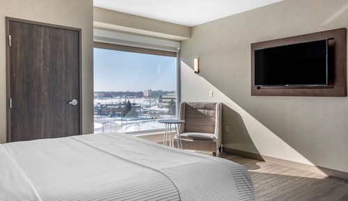 Premium Suite, 1 King Bed with Sofa bed, Non Smoking (Efficiency, Upgrade)