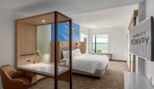 Suite, 1 King Bed (Water View)