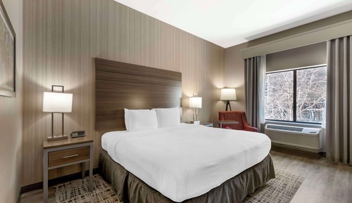 Standard Room, 1 King Bed, Accessible, Refrigerator & Microwave