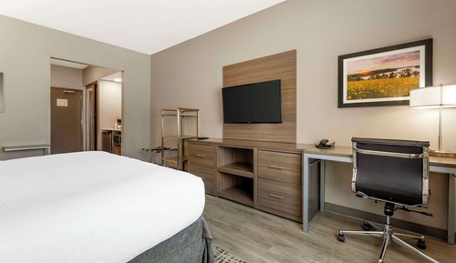 Standard Room, 1 King Bed, Non Smoking, Refrigerator & Microwave (Walk-in Shower)