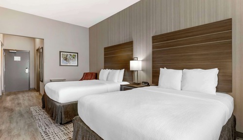 Standard Room, 2 Queen Beds, Accessible, Refrigerator & Microwave