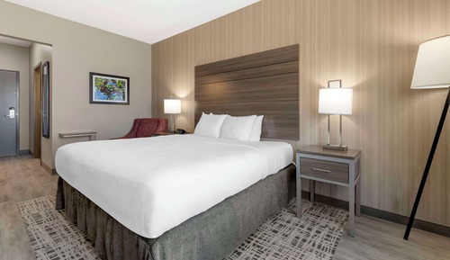 Standard Room, 1 King Bed, Non Smoking, Refrigerator & Microwave (Walk-in Shower)