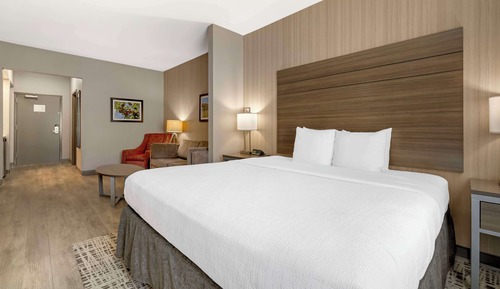 Suite, 1 King Bed, Non Smoking, Refrigerator & Microwave (Walk-in Shower;with Sofabed)