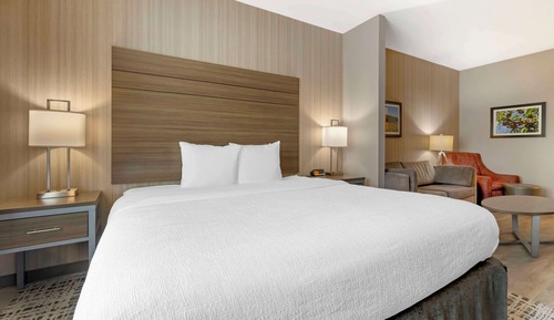Suite, 1 King Bed, Non Smoking, Refrigerator & Microwave (Walk-in Shower;with Sofabed)
