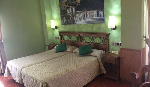 Double or Twin Room