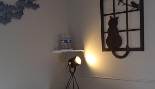 Double Room (Maine Coon)