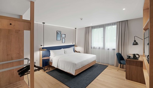Room, 1 King Bed, Accessible