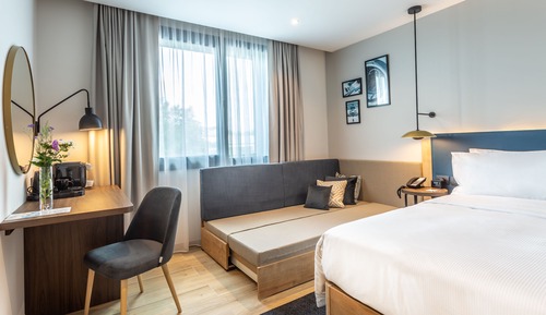 Room, 1 King Bed with Sofa bed