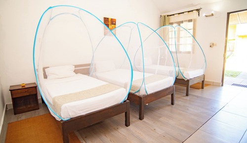 Triple Room, 3 Twin Beds